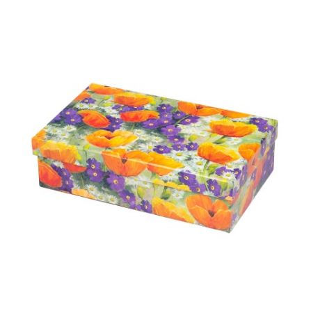 ARGUS Dárková krabice 25375192