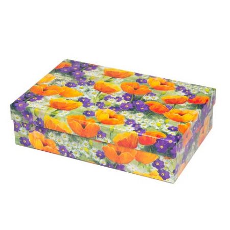 ARGUS Dárková krabice 25395192