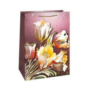 ARGUS Dárková taška LUX 07899801