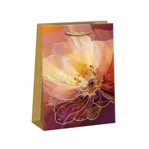 ARGUS Dárková taška LUX 07590187