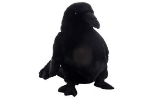 Plyš Havran Maňásek Eco-friendly