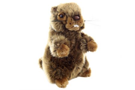 Plyš Svišť 18 cm Eco-friendly