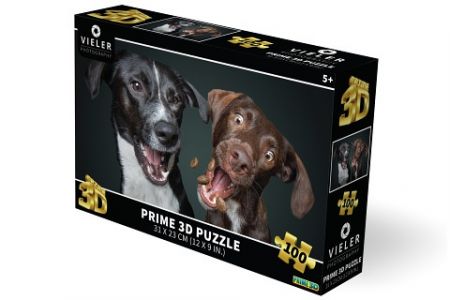 Puzzle 3D - Psi