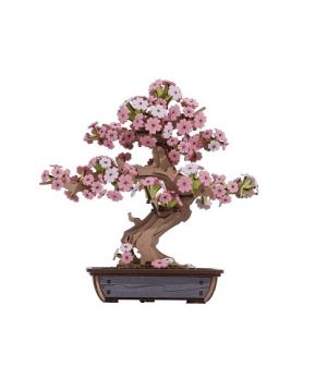 RoboTime 3D dřevěná skládačka Bonsaj sakura
