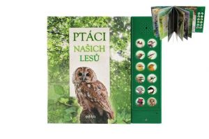 Zvuková knížka Ptáci našich lesů na baterie 22,5x21cm