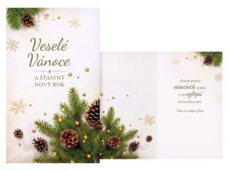 Přání Vánoční V24-505 T