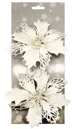 Poinsettie bílá 14 cm, 2 ks na klipu