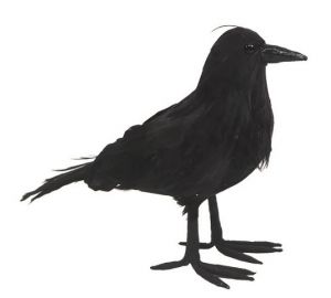 Vrána na postavení 25 x 17 x 8 cm