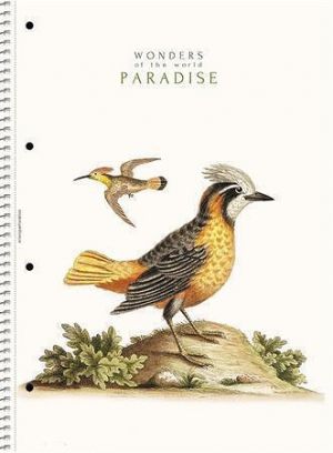 Spirálový sešit &quot;College Block Wonders&quot;, mix motivů, A4, linkovaný, 80 listů, SHKOLYARYK A