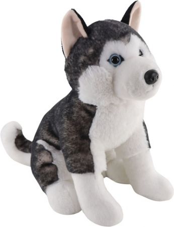 Husky sedící 25 cm