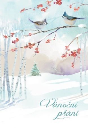 ALBI Dva ptáčci v zimní krajině