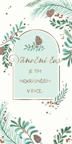 ALBI Kapsa s větvičkami na bílém