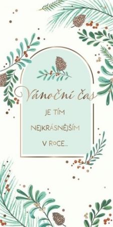 ALBI Kapsa s větvičkami na bílém