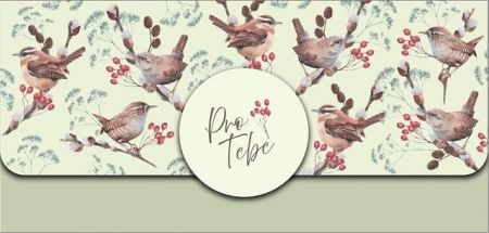 ALBI Money gift magnetické - Ptáčci a větvičky