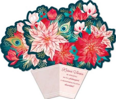 ALBI Skládací vánoční hvězda s pavími pery