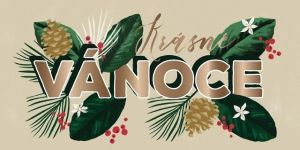 ALBI Větvičky se šiškami