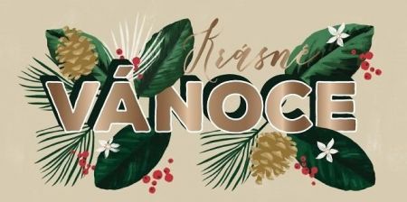 ALBI Větvičky se šiškami