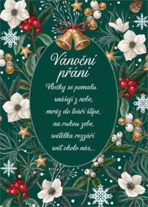 ALBI Vánoční tapeta na zeleném