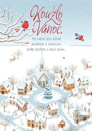 ALBI Zasněžené náměstí