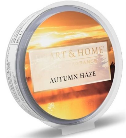 ALBI 097_Barvy podzimu vonný vosk - autumn 25