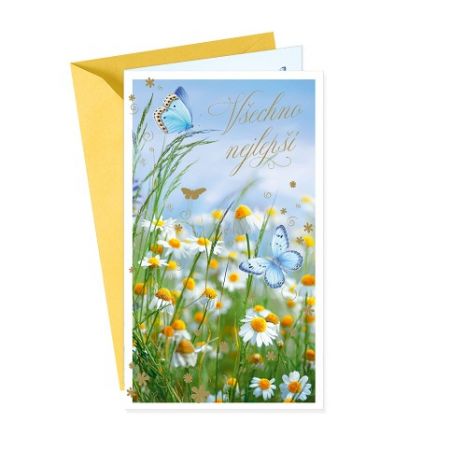 ARGUS Přání k narozeninám nebo k svátku 55-605c