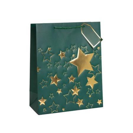 ARGUS Dárková papírová taška (26 x 32 cm) 08599901