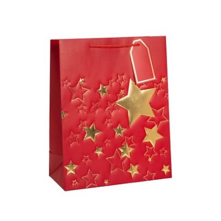 ARGUS Dárková papírová taška (26 x 32 cm) 08599902