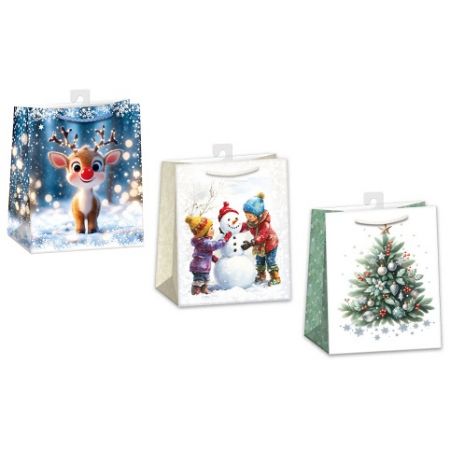 ARGUS Dárková papírová taška (19 x 23 cm) mix 12 ks 08430006h