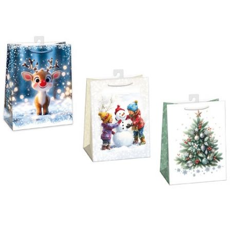 ARGUS Dárková papírová taška (23 x 32 cm) mix 12 ks 08530009h