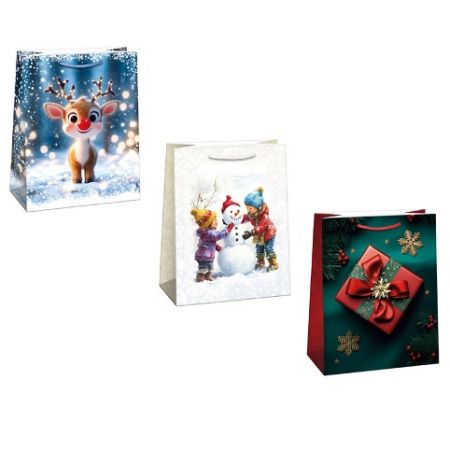 ARGUS Dárková papírová taška T8 (29 x 38 cm) mix 12 ks 08830005