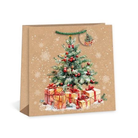 ARGUS Dárková papírová taška T9N (38 x 38 cm) 08850011