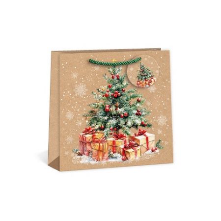 ARGUS Dárková papírová taška T8N (24 x 24 cm) 08450011