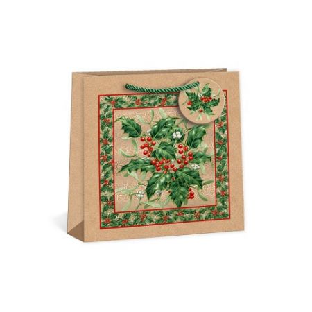 ARGUS Dárková papírová taška T8N (24 x 24 cm) 08450013