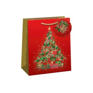 ARGUS Dárková papírová taška (20 x 24 cm) 08490169