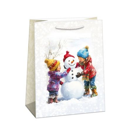 ARGUS Dárková papírová taška (29 x 38 cm) 08830468