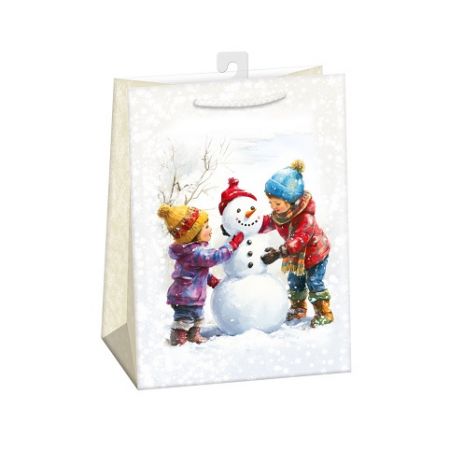 ARGUS Dárková papírová taška (23 x 32 cm) 08530468h