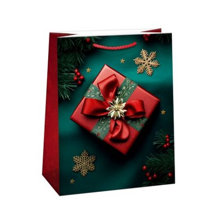 ARGUS Dárková papírová taška (29 x 38 cm) 08830469