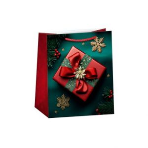 ARGUS Dárková papírová taška (19 x 23 cm) 08430469