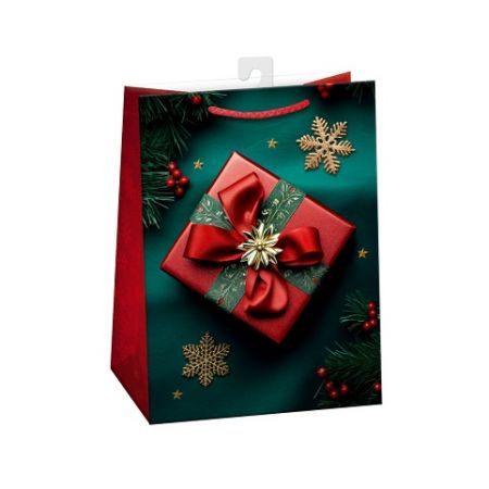 ARGUS Dárková papírová taška (23 x 32 cm) 08530469h