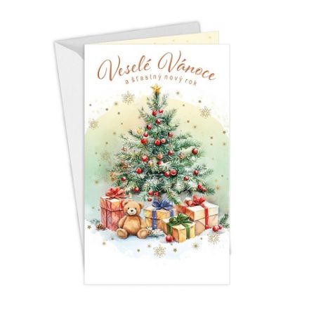 ARGUS Vánoční přání 11-6562c