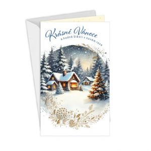 ARGUS Vánoční přání 11-6563c