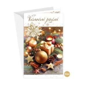 ARGUS Vánoční přání s kapsou na peníze 11-6553c