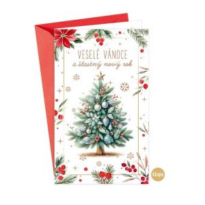 ARGUS Vánoční přání s kapsou na peníze 11-6560c