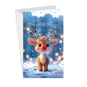 ARGUS Vánoční přání 11-6572c