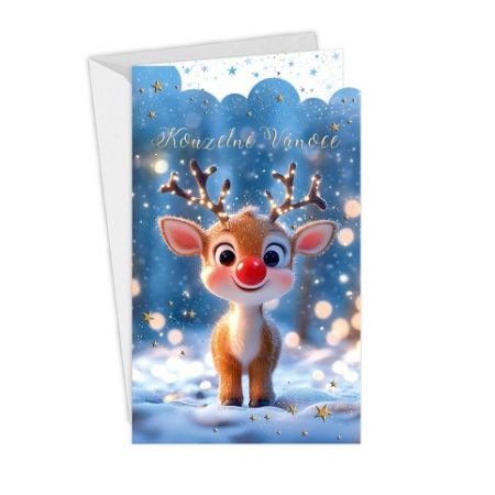 ARGUS Vánoční přání 11-6572c