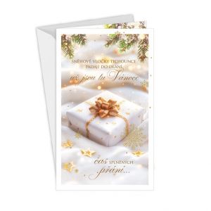 ARGUS Vánoční přání 11-6575c