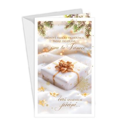 ARGUS Vánoční přání 11-6575c