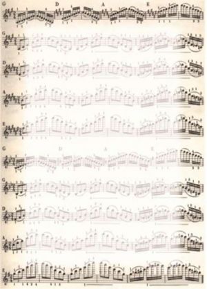 Diplom A4 -NUTY motiv not, 170 g/m2, 25 ks