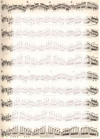 Diplom A4 -NUTY motiv not, 170 g/m2, 25 ks