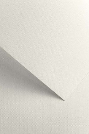 Ozdobný papír A4 Florida - 220 g/m2, bílý, 20 listů                  